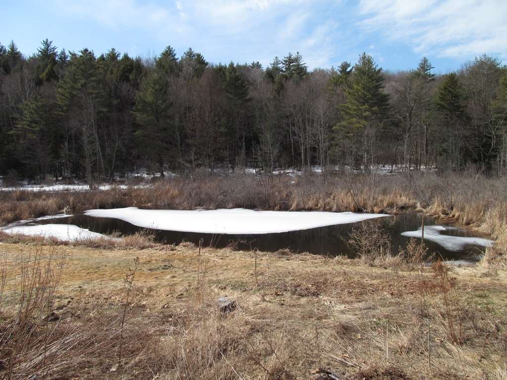 288 West Unity Road Claremont, NH 03743 - Photo 3 of 12 Gallery Image 3