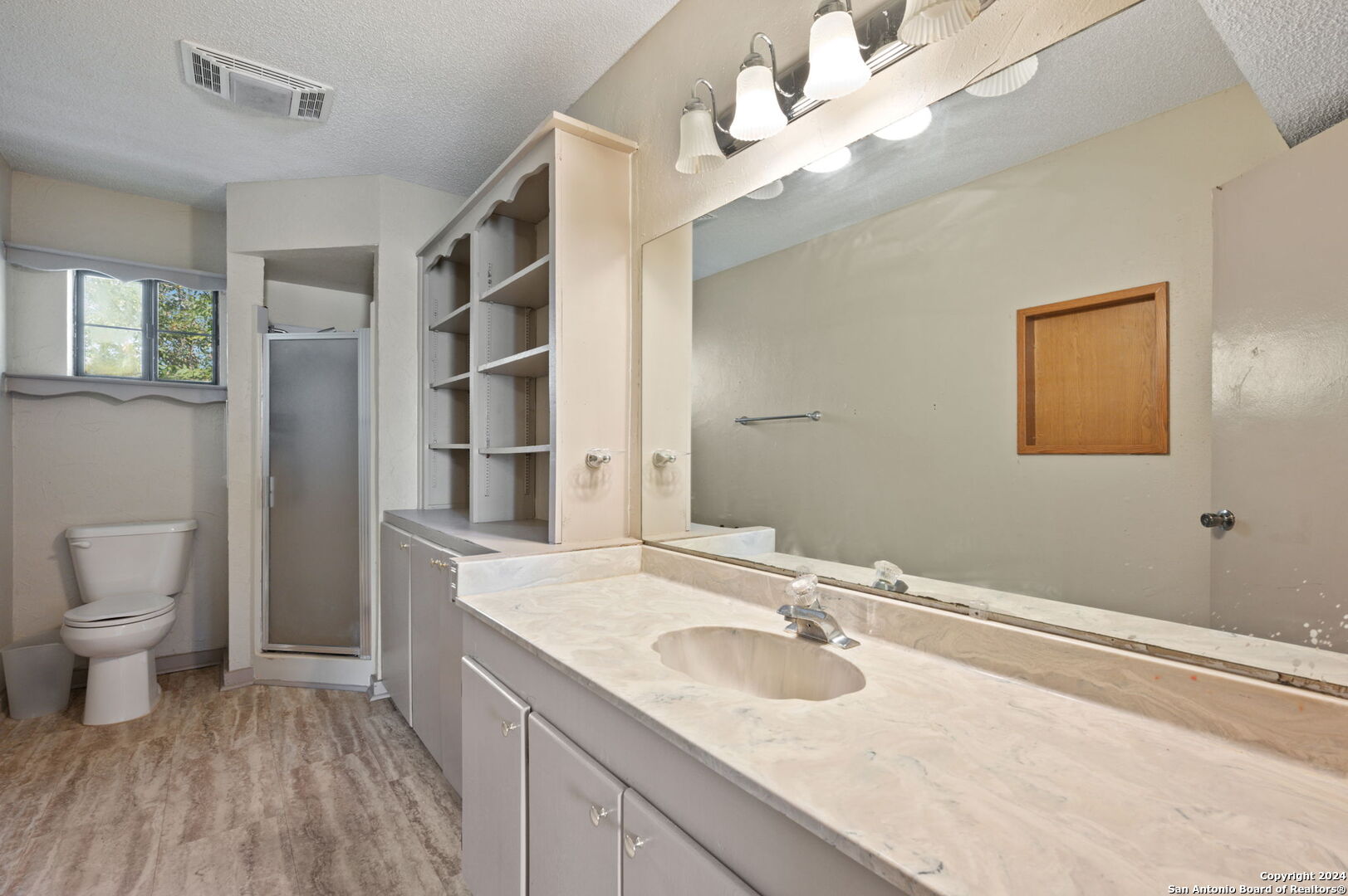 795 Highway 16 Jourdanton, TX 78026 - Photo 21 of 25 a bathroom with a sink a toilet and a mirror