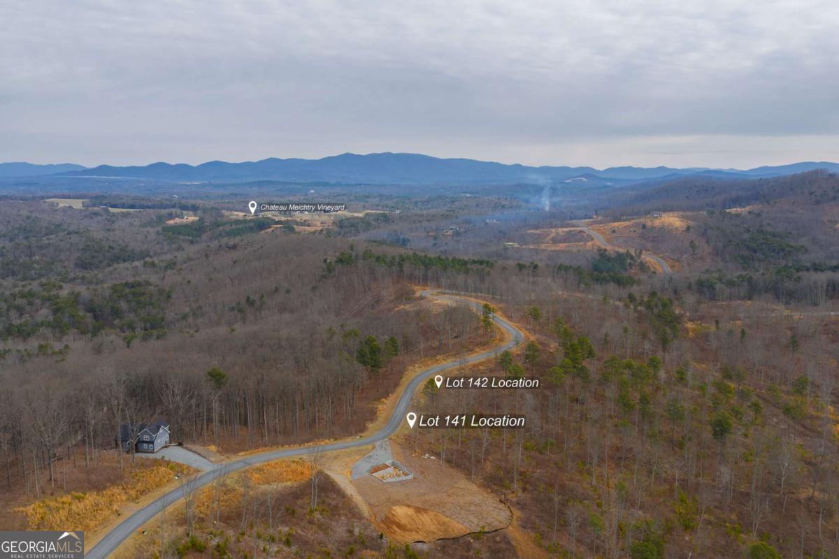 Lot 141 Twisted Oak Road Talking Rock, GA 30175 - Photo 11 of 20 a view of a field