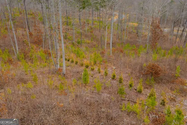 a view of a backyard of the house