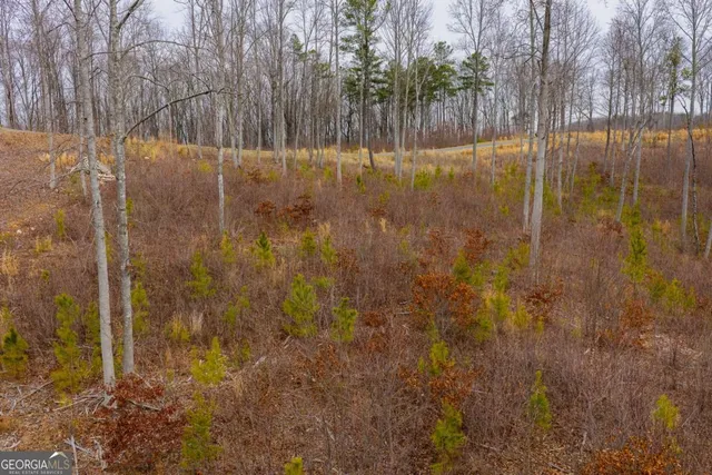 a view of a lake with outdoor space