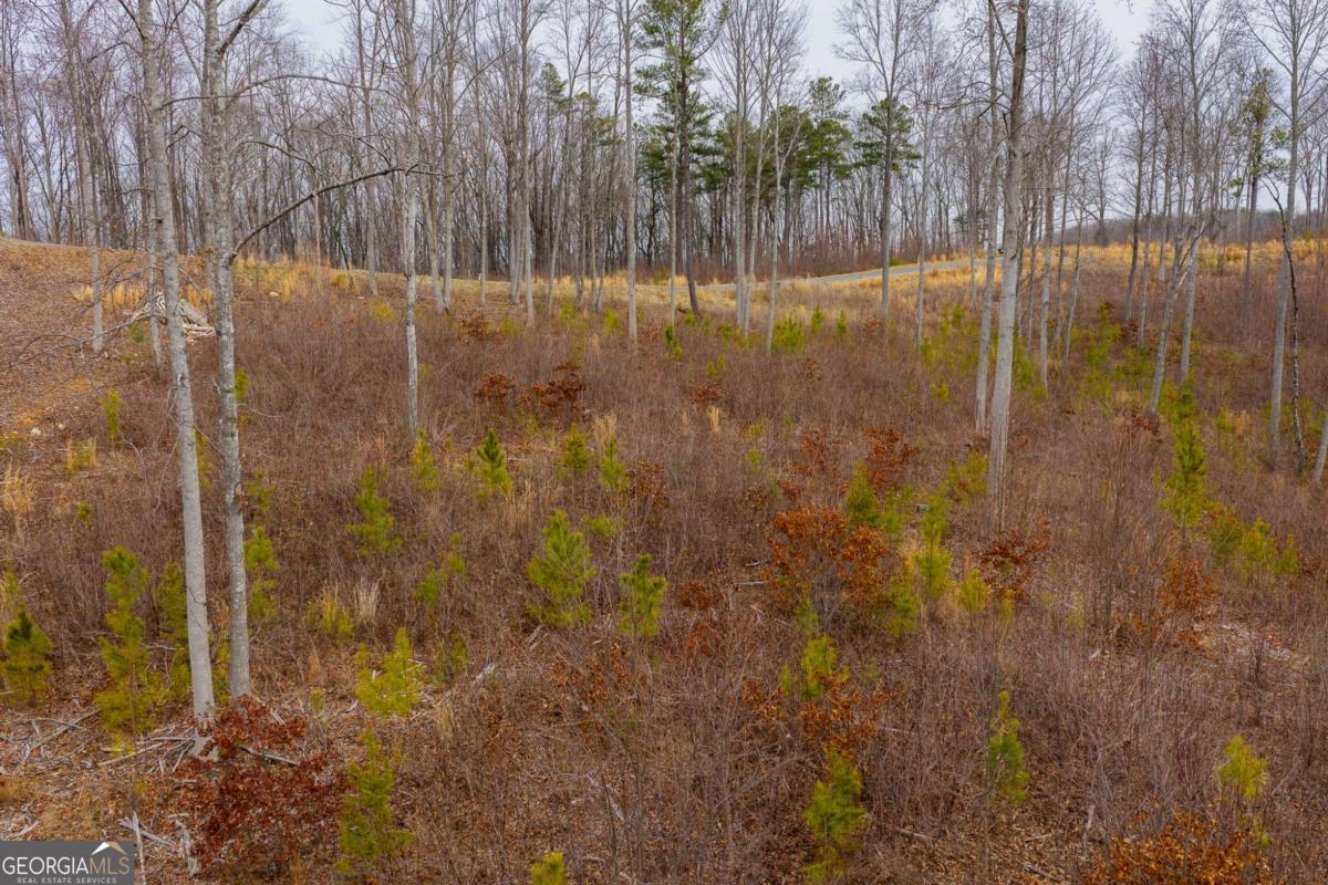 Lot 141 Twisted Oak Road Talking Rock, GA 30175 - Photo 14 of 20 a view of a back yard