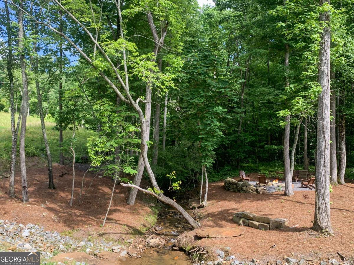 Lot 141 Twisted Oak Road Talking Rock, GA 30175 - Photo 19 of 20 a backyard of a house with lots of green space
