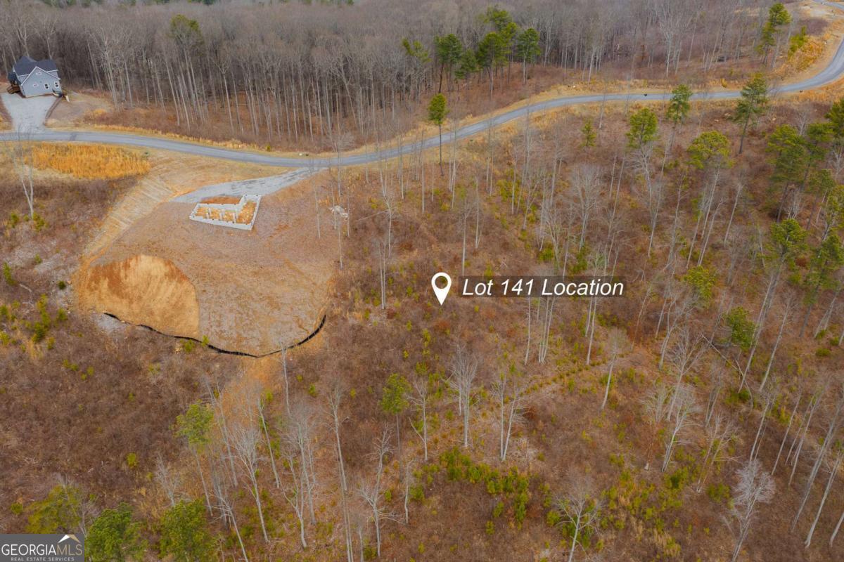 Lot 141 Twisted Oak Road Talking Rock, GA 30175 - Photo 7 of 20 a view of a basket ball court