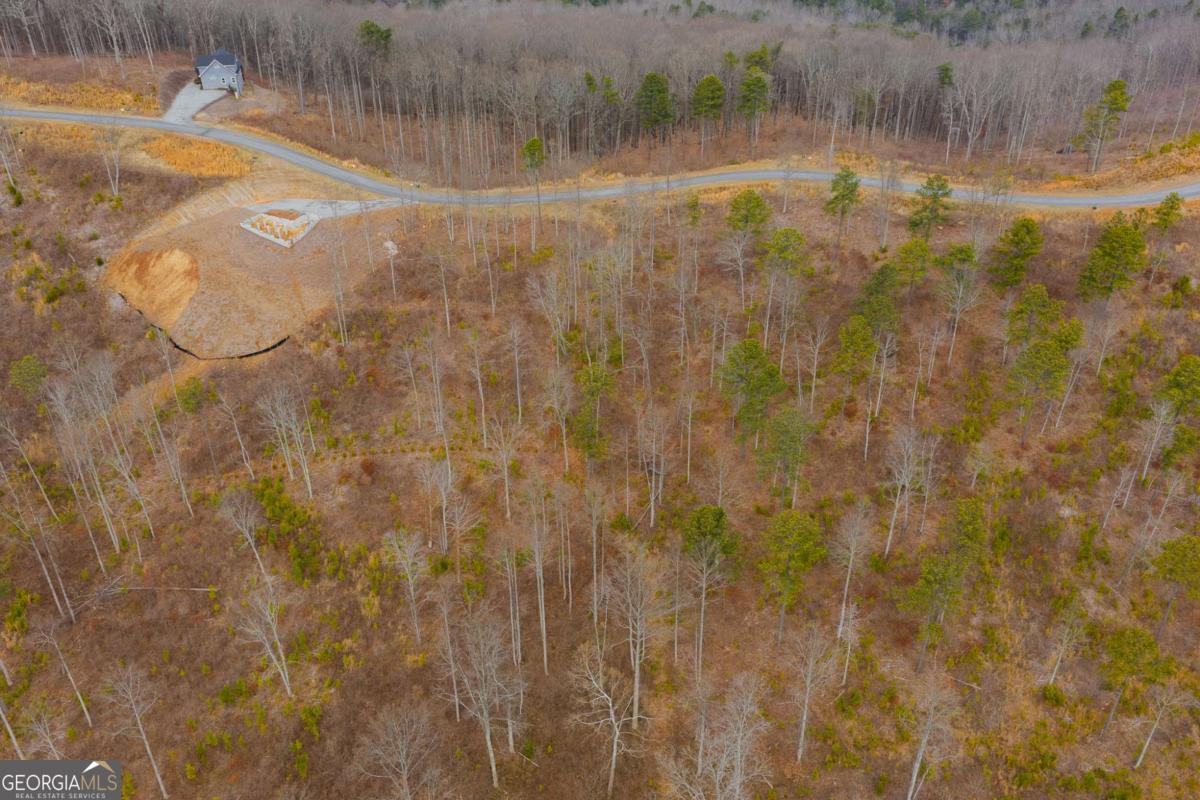 Lot 141 Twisted Oak Road Talking Rock, GA 30175 - Photo 8 of 20 a view of a lake view