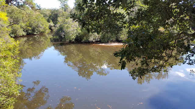 34858 Brandon Lake Road Bay Minette, AL 36507 - Photo 13 of 16