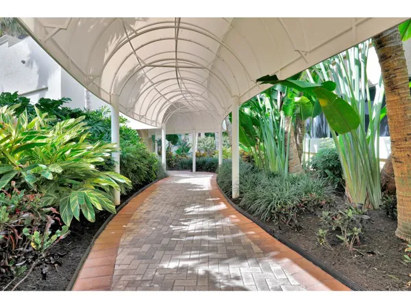 a view of a garden with a pathway