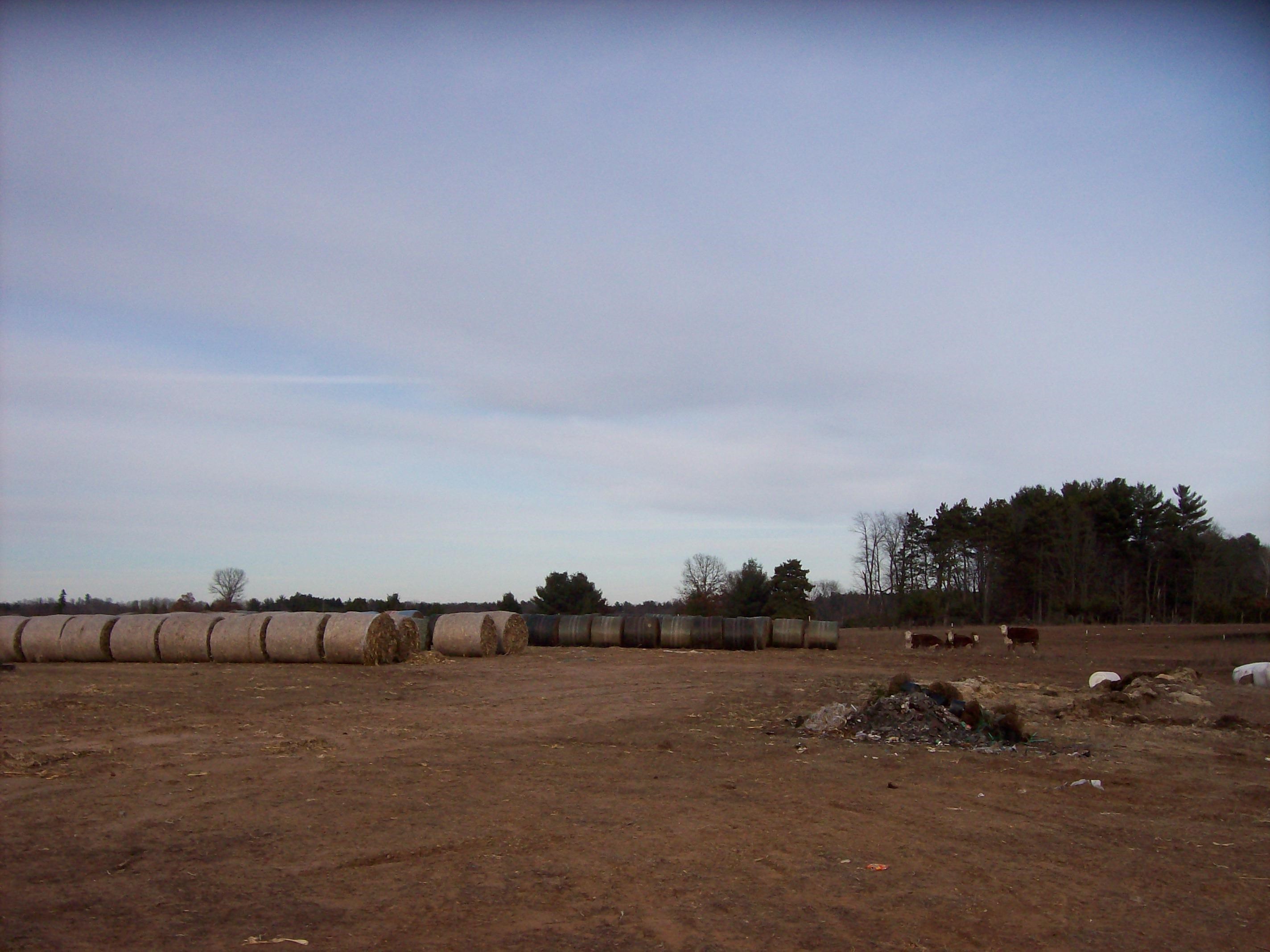 N6702 12th Road Montello, WI 53949 - Photo 64 of 79