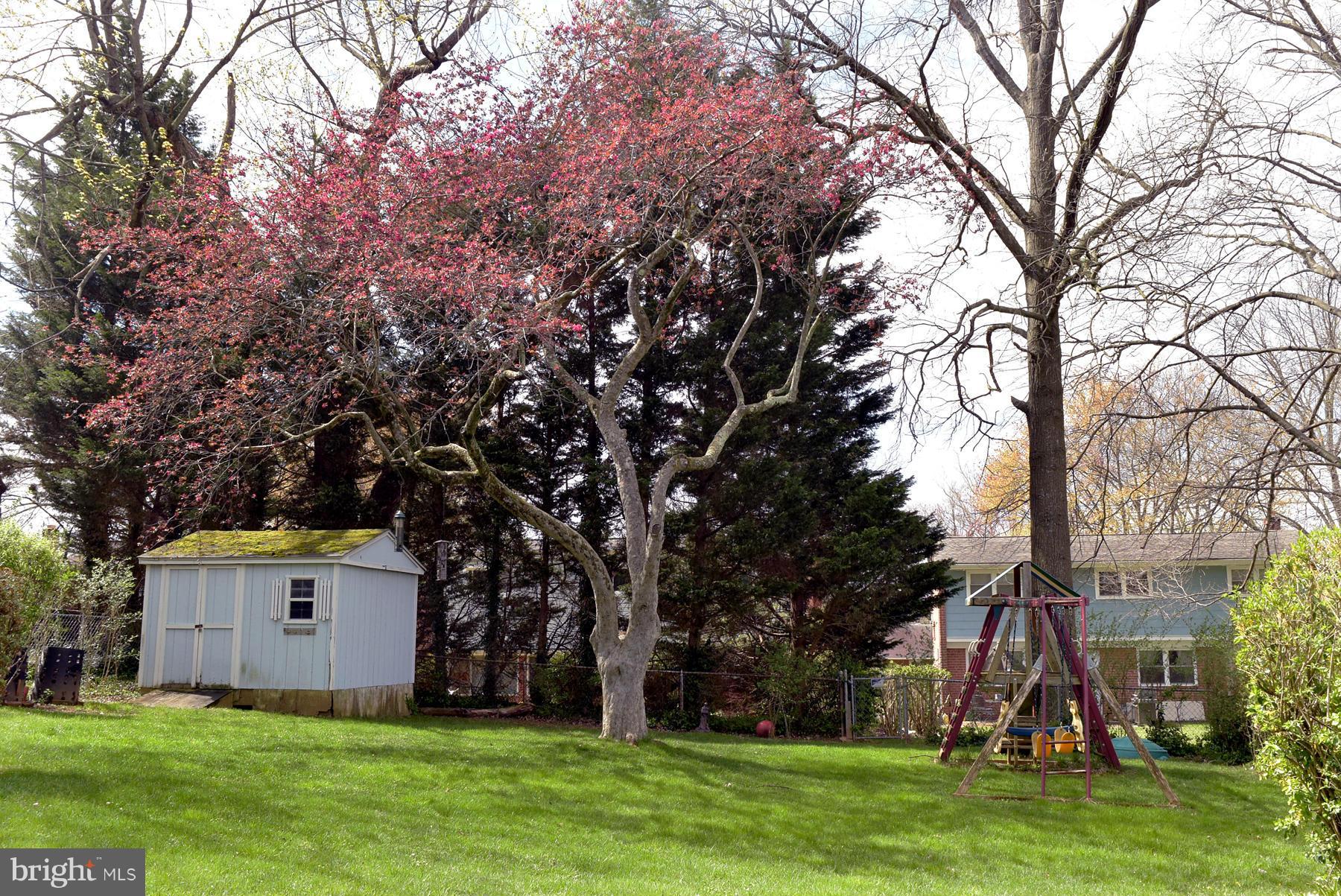13010 Carney Street Silver Spring, MD 20906 - Photo 22 of 25 Rear yard.