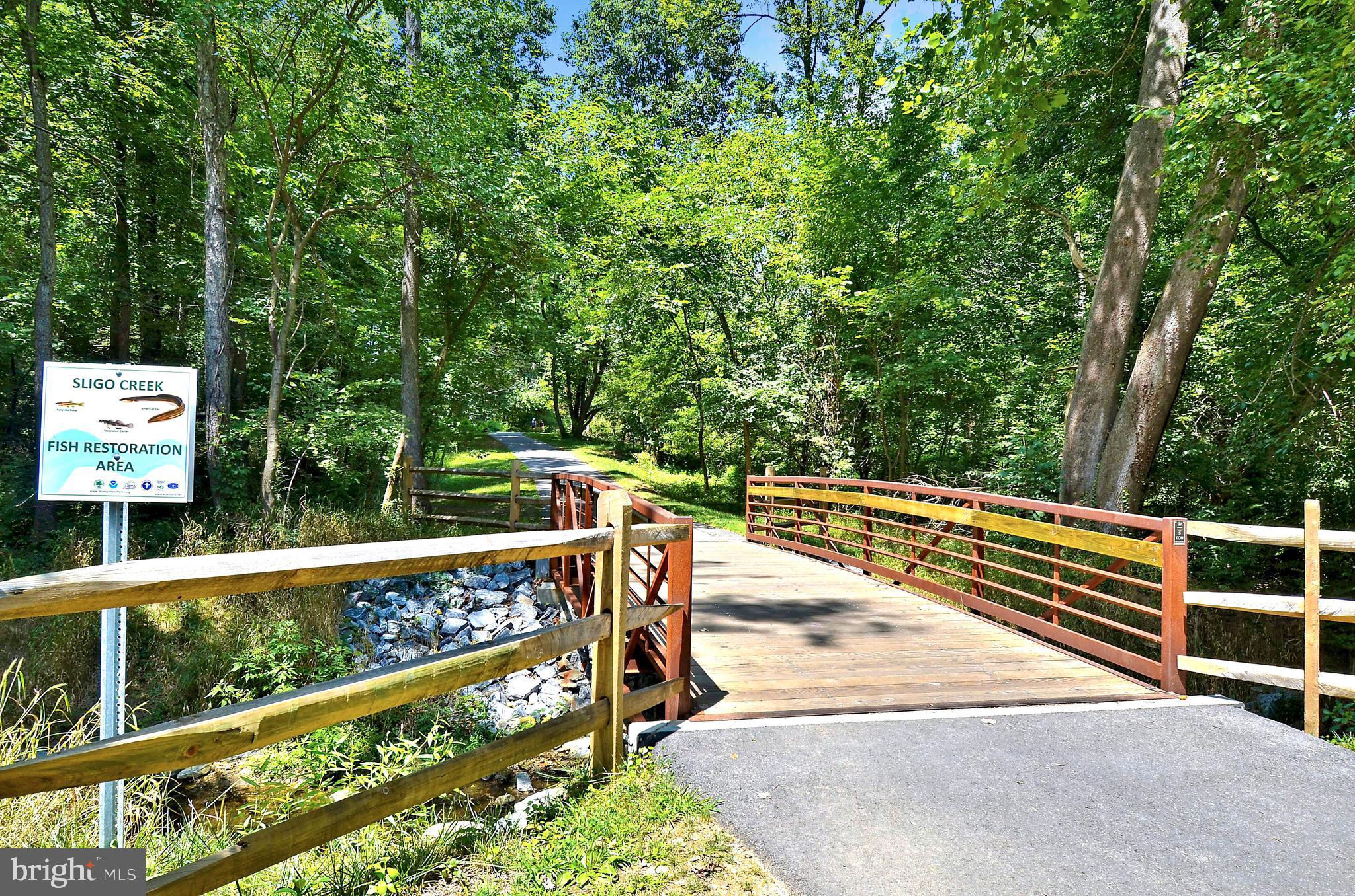 1225 Pinecrest Circle Silver Spring, MD 20910 - Photo 67 of 96