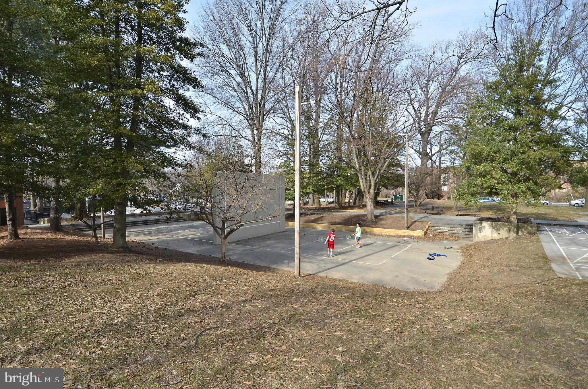 1225 Pinecrest Circle Silver Spring, MD 20910 - Photo 73 of 96