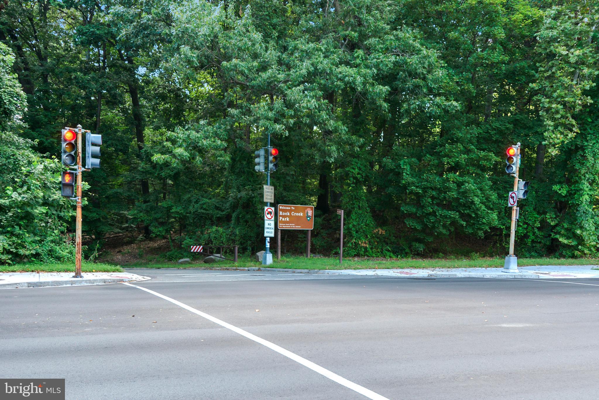 1225 Pinecrest Circle Silver Spring, MD 20910 - Photo 92 of 96