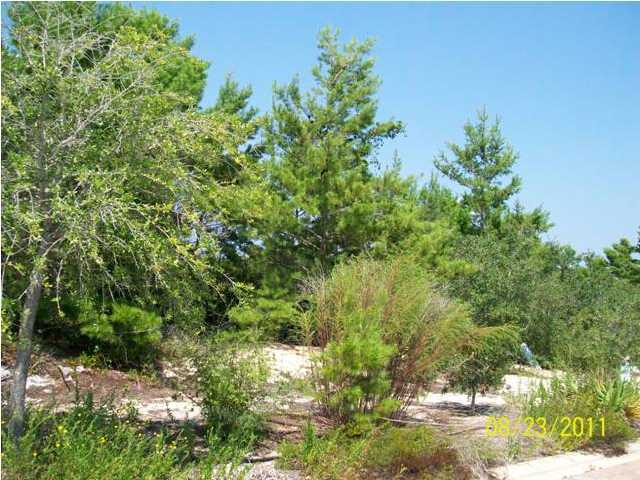 Lot 7 Gulfview Way Santa Rosa Beach, FL 32459 - Photo 1 of 4 Gallery Image 1