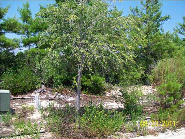 Lot 7 Gulfview Way Santa Rosa Beach, FL 32459 - Photo 2 of 4 Gallery Image 2