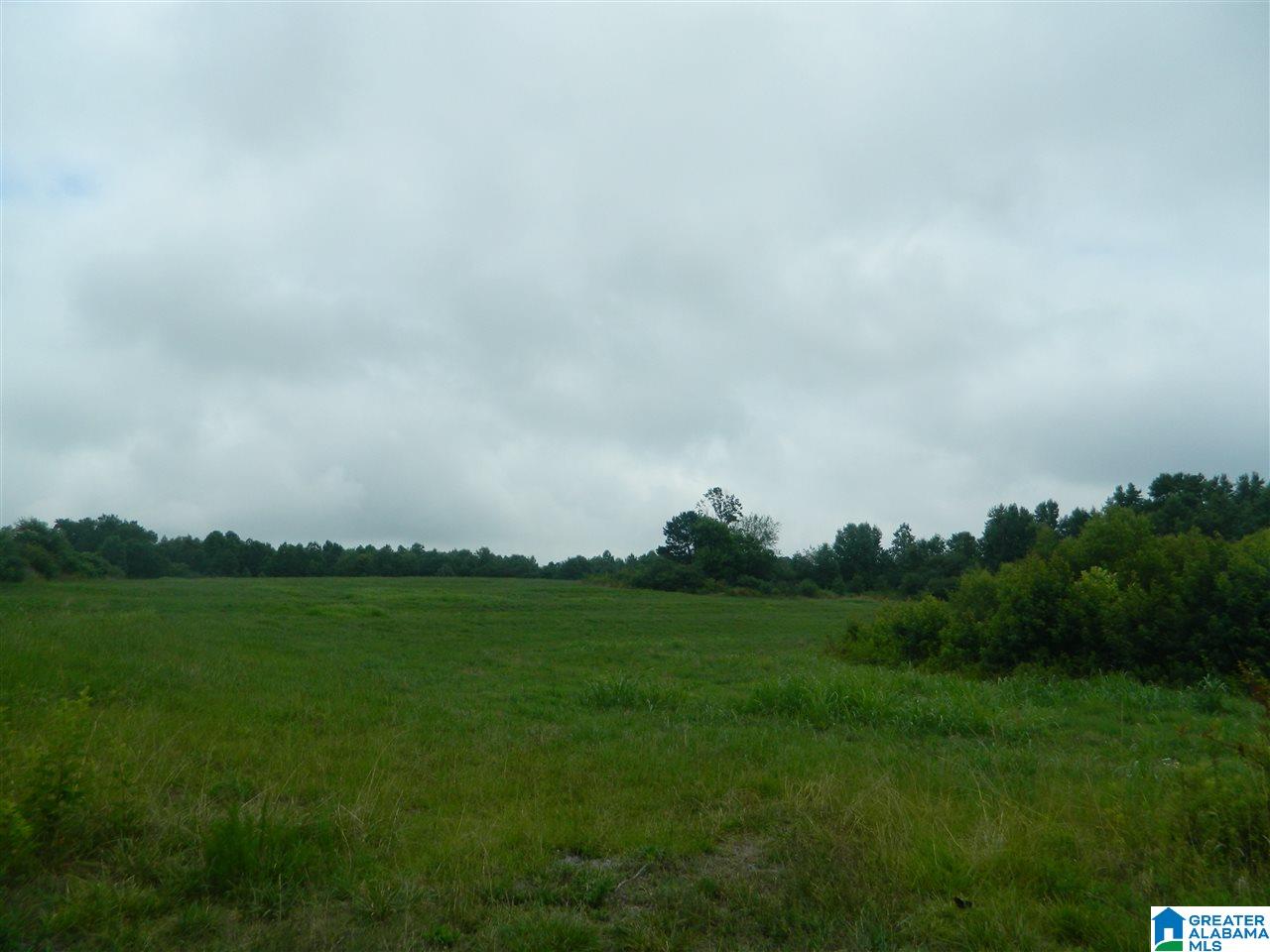 0 County Road 76 Cullman, AL 35057 - Photo 3 of 14
