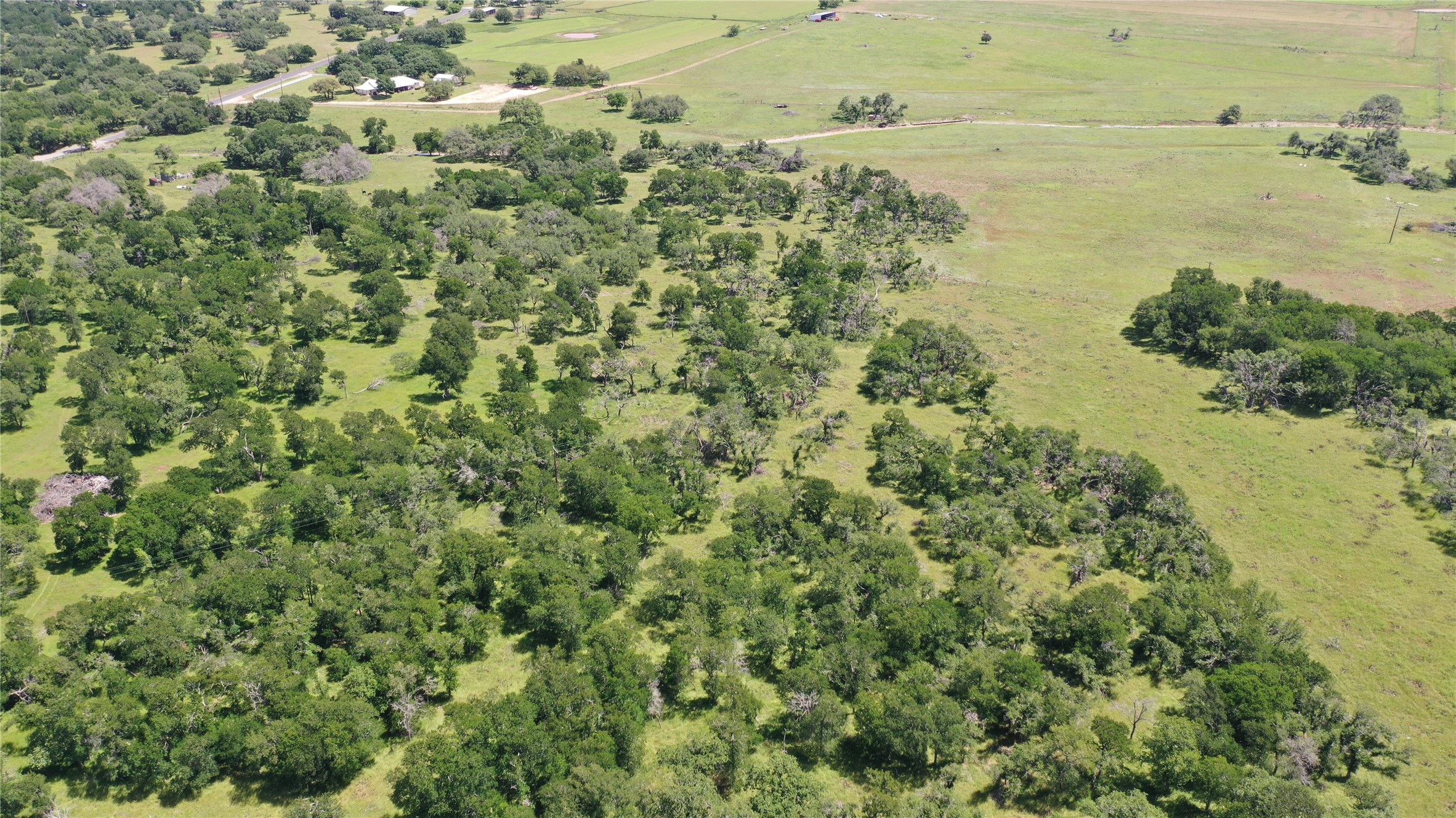 3215 County Road 305 Jarrell, TX 76537 - Photo 6 of 23
