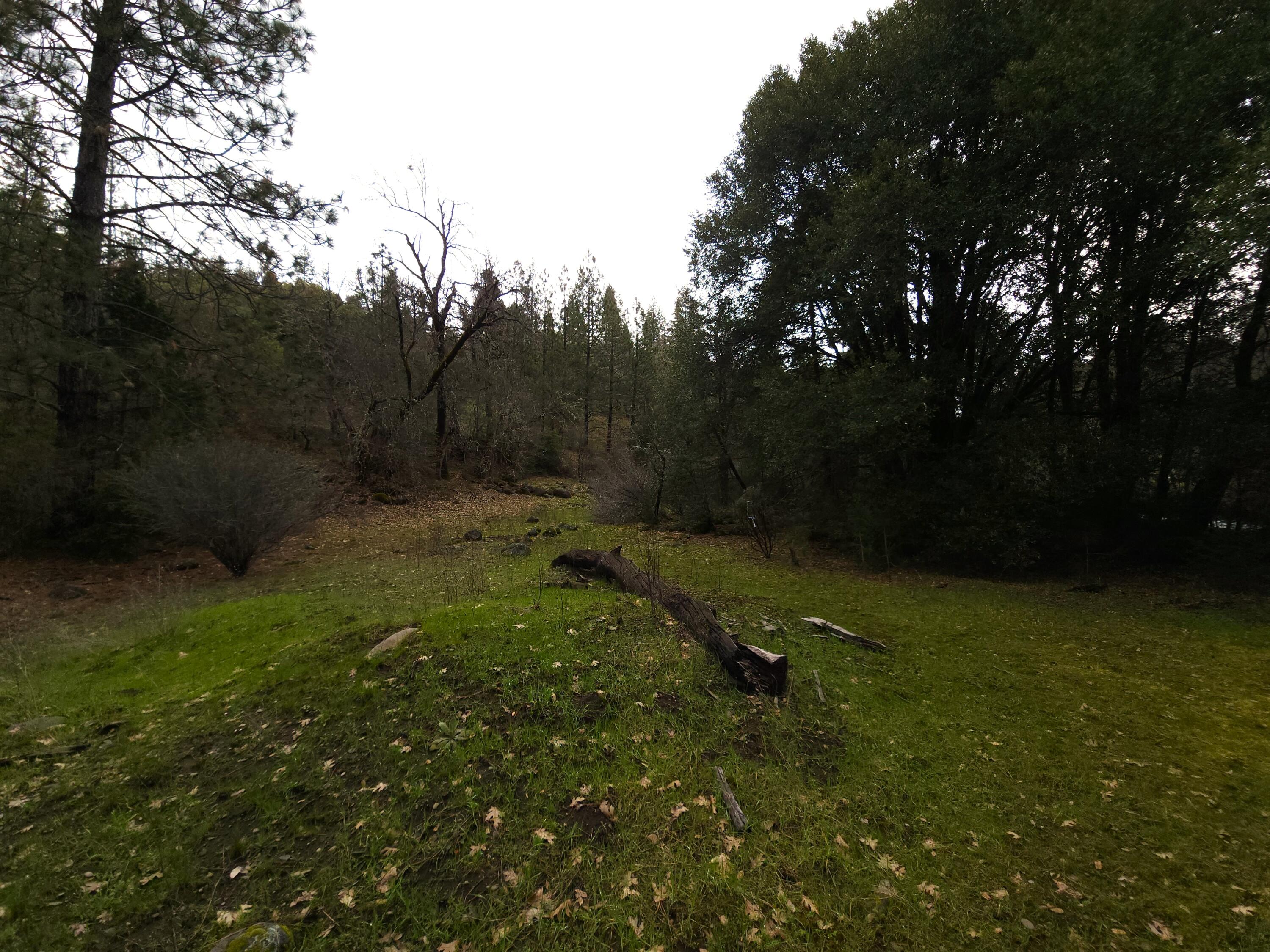 0 Phillips Road Oak Run, CA 96069 - Photo 17 of 37 a view of a backyard