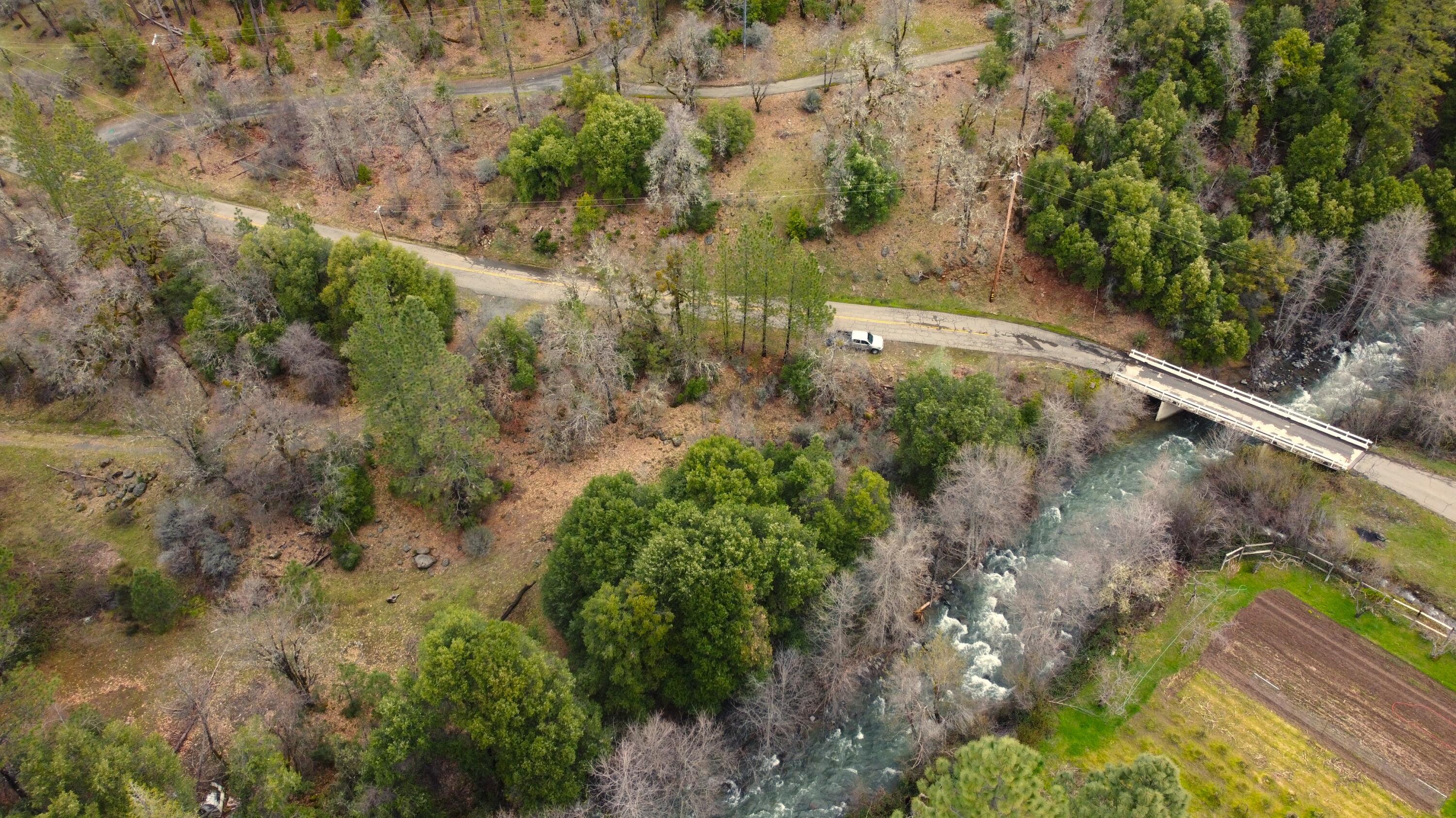 0 Phillips Road Oak Run, CA 96069 - Photo 2 of 37 a view of a yard with plants and large trees