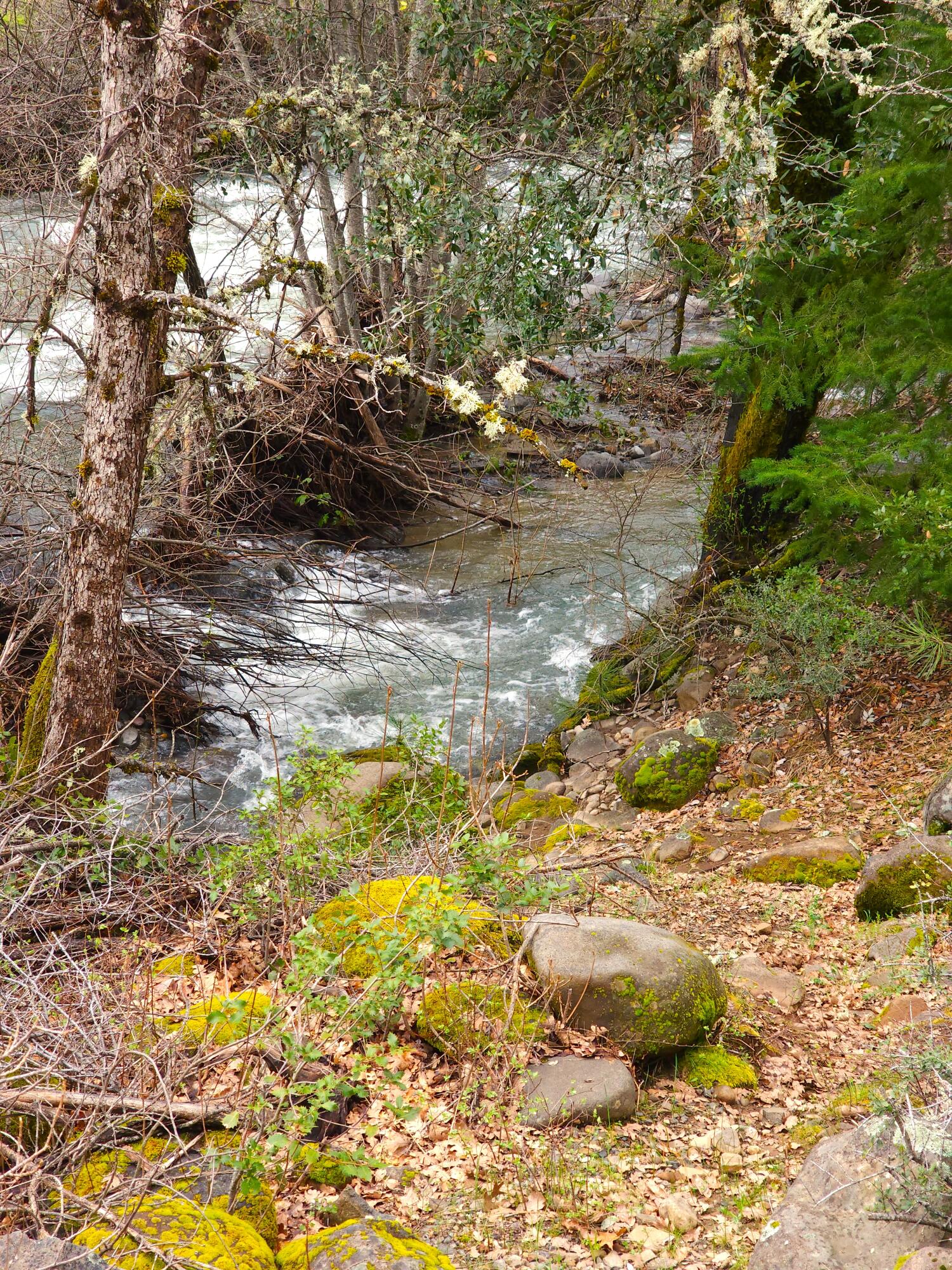 0 Phillips Road Oak Run, CA 96069 - Photo 24 of 37 a view of lake