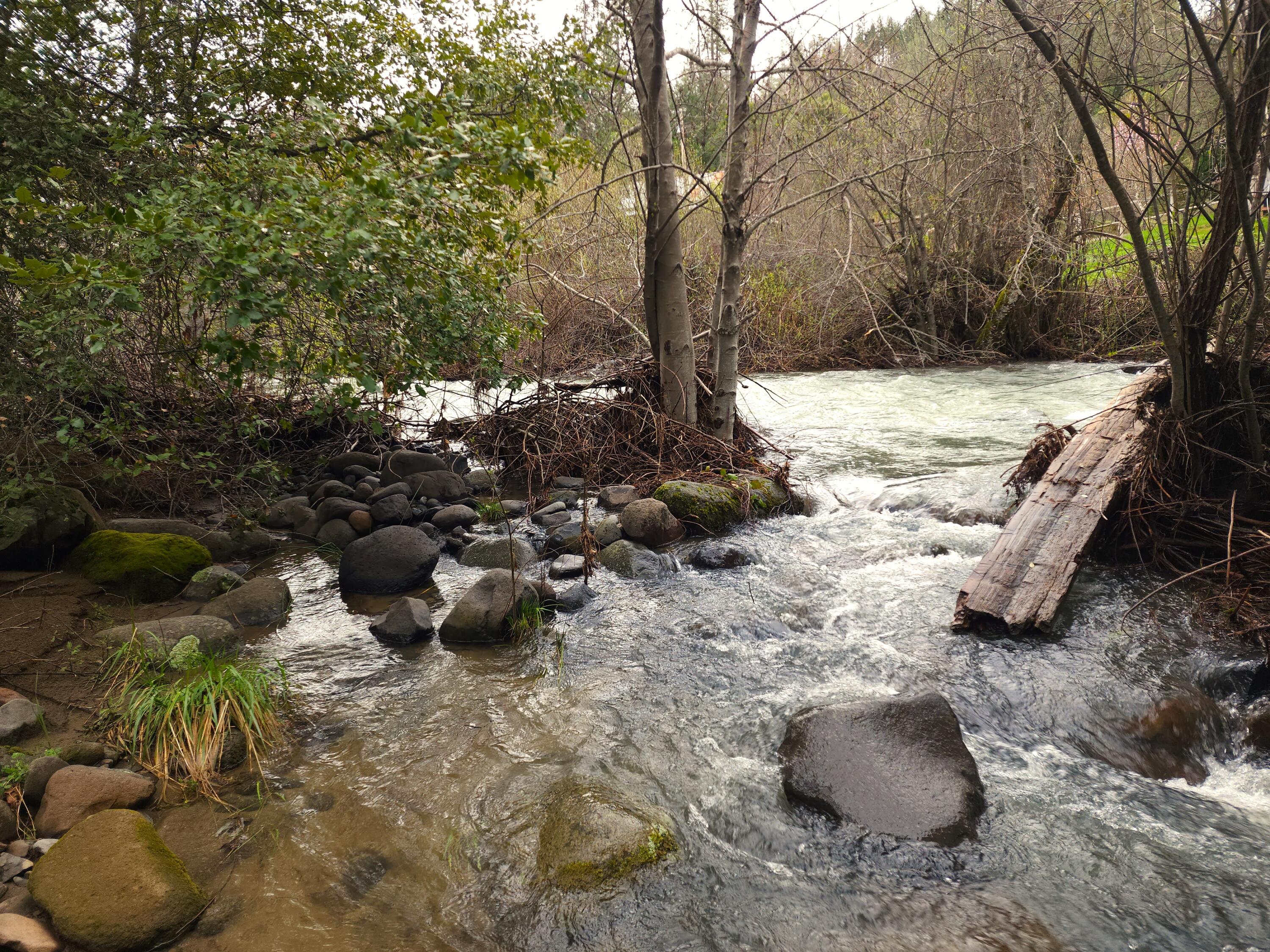 0 Phillips Road Oak Run, CA 96069 - Photo 26 of 37 a view of water covered with snow in the outdoor