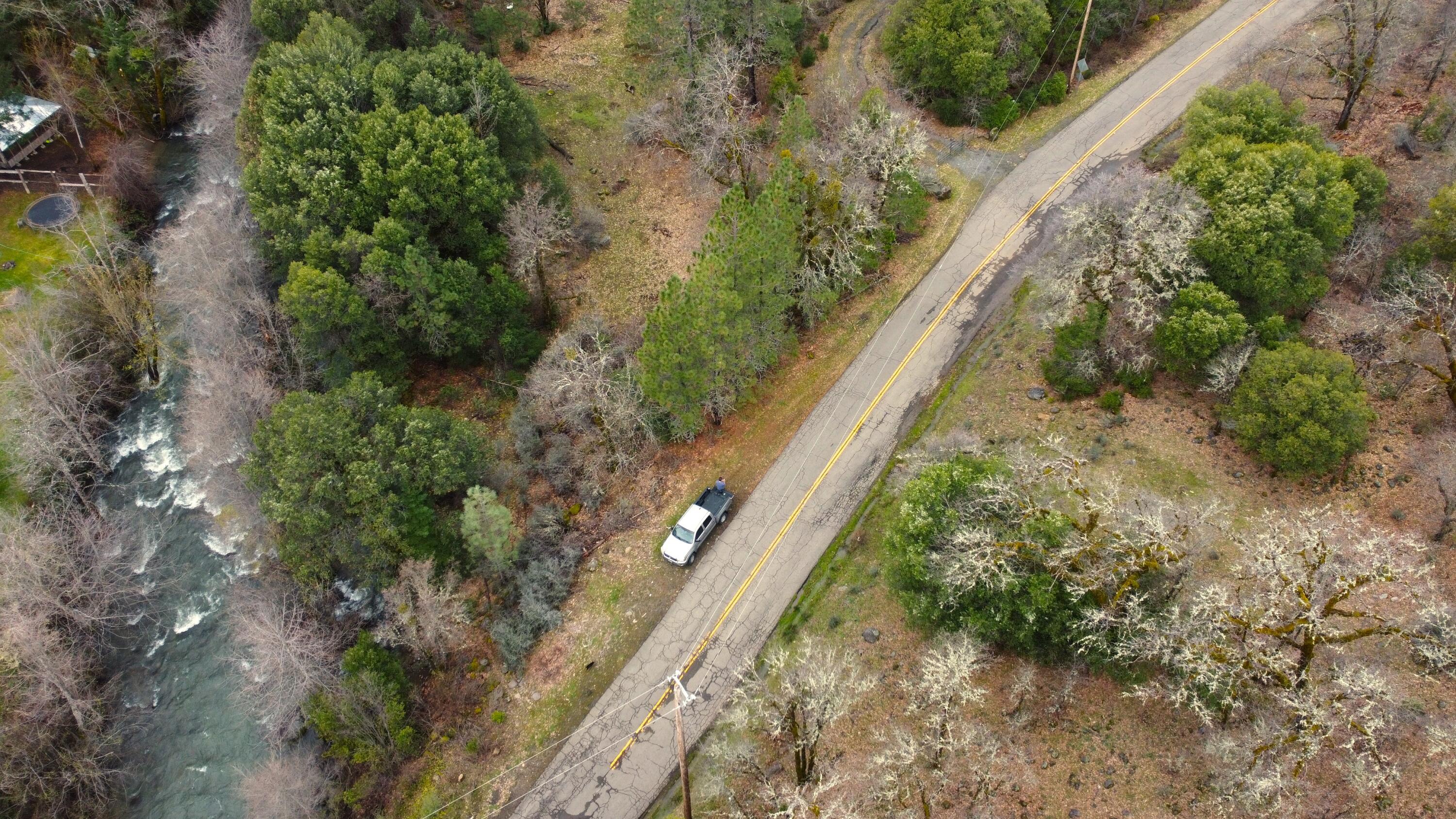 0 Phillips Road Oak Run, CA 96069 - Photo 27 of 37 a close up of a plant in a garden