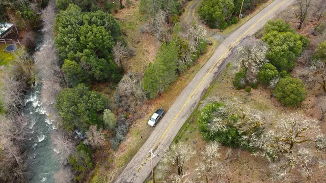 a view of a yard with plants and a bench