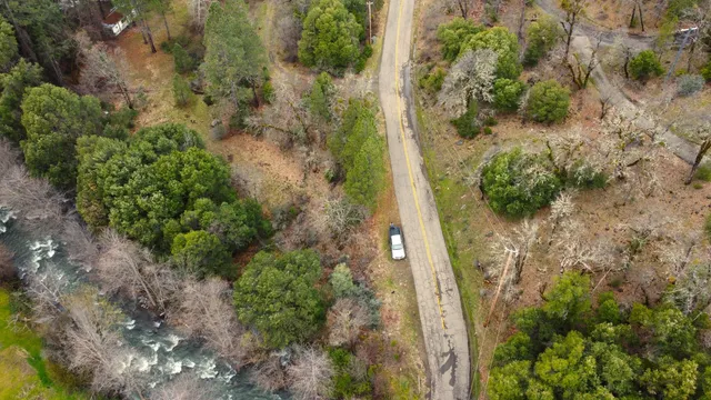 a view of a plant in a balcony
