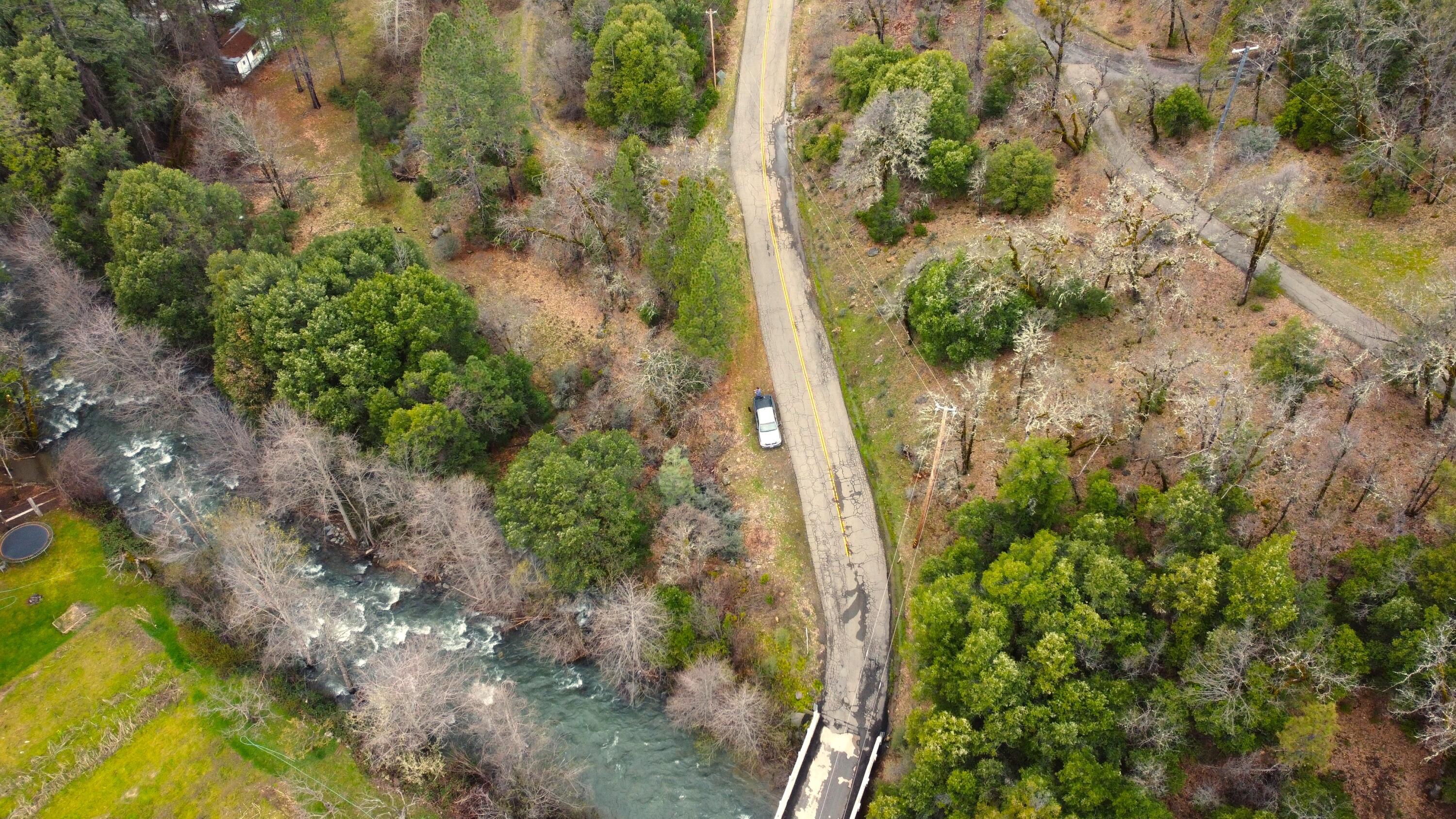 0 Phillips Road Oak Run, CA 96069 - Photo 31 of 37 a view of a yard with plants