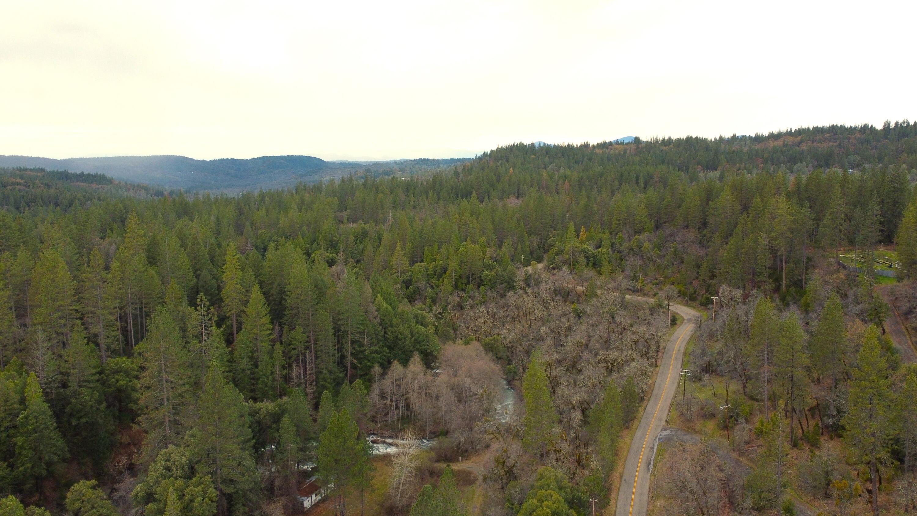 0 Phillips Road Oak Run, CA 96069 - Photo 32 of 37 a view of a lush green field