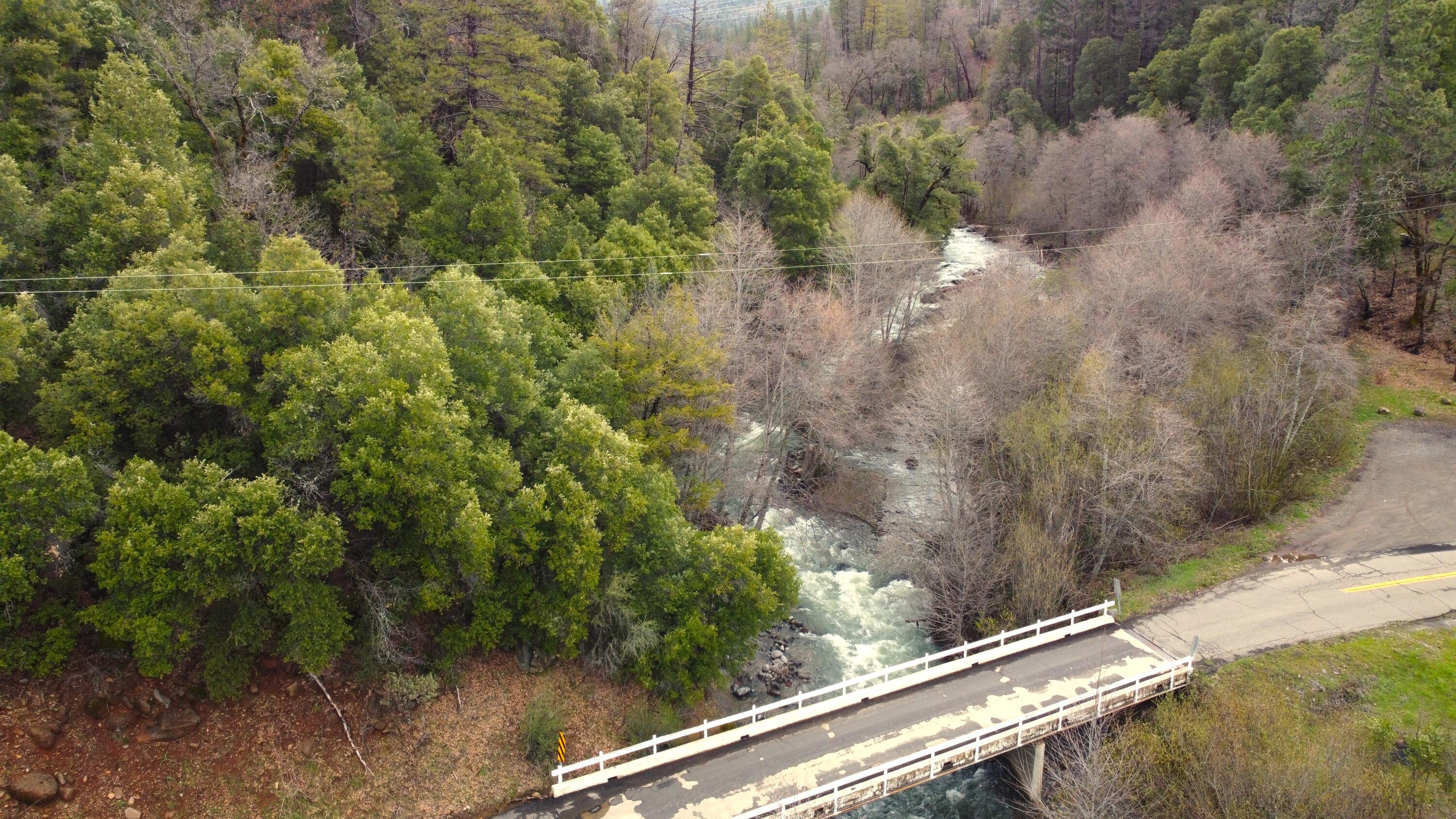 0 Phillips Road Oak Run, CA 96069 - Photo 34 of 37 a view of a yard with a tree