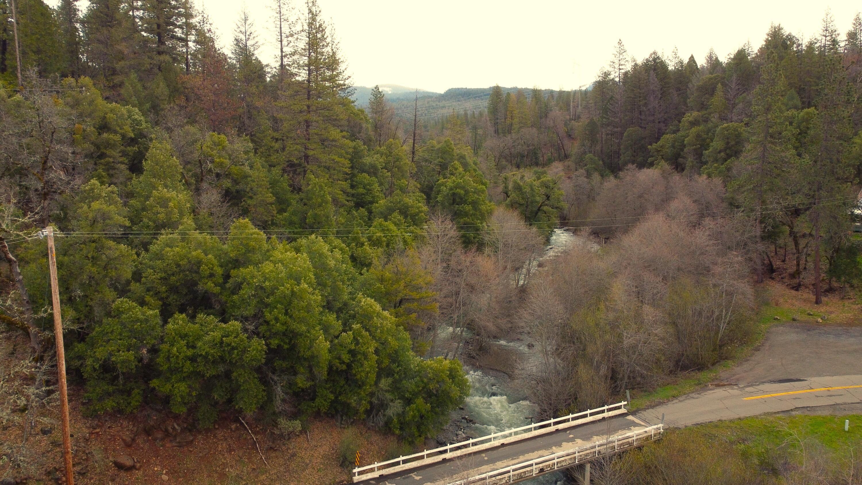 0 Phillips Road Oak Run, CA 96069 - Photo 35 of 37 a view of a forest from a balcony