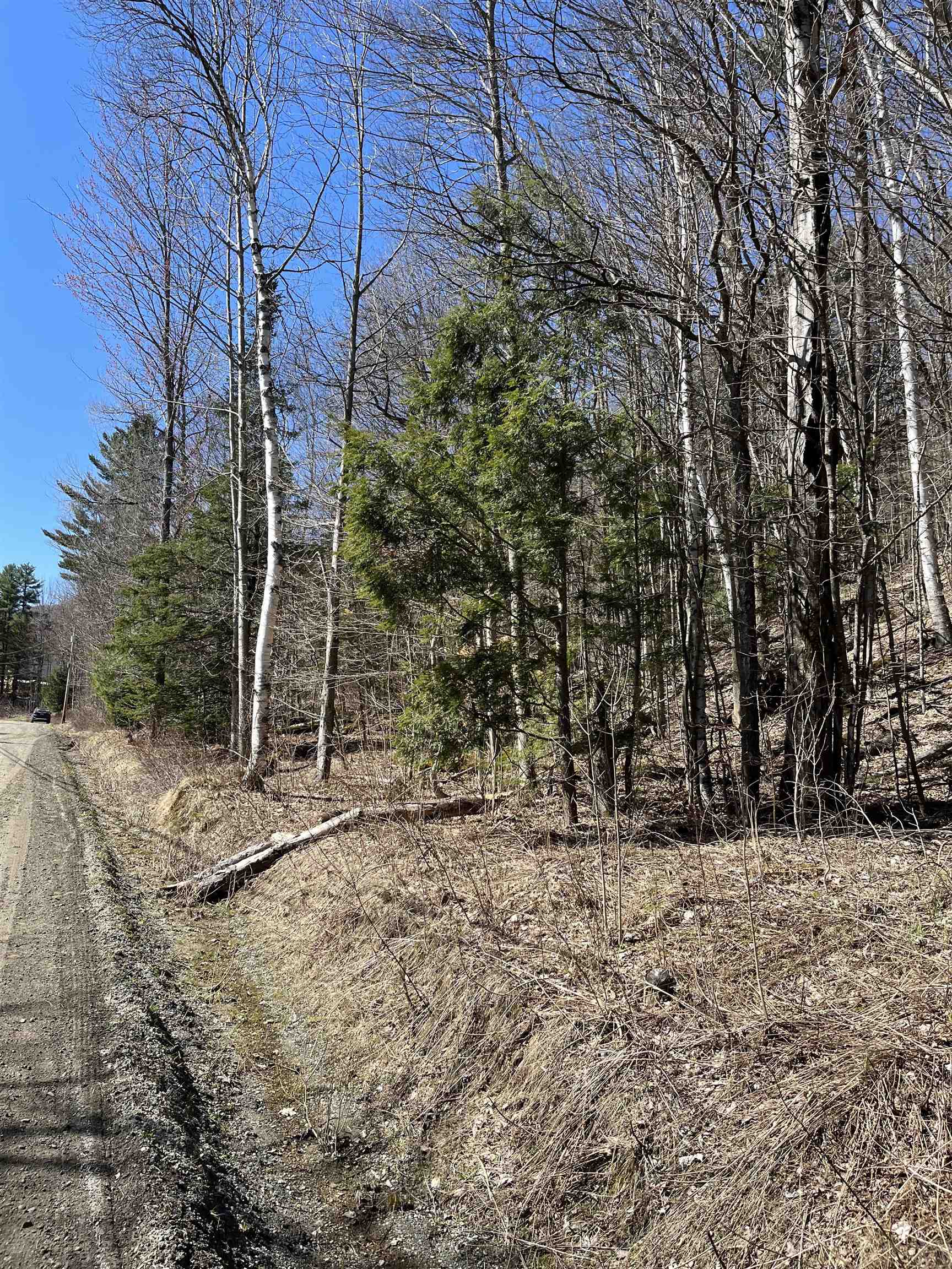 0 Beach Road Elmore, VT 05661 - Photo 6 of 7
