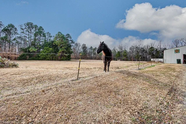 $698,000 | 265 Fuller Mill Road North, Trinity, NC 27370