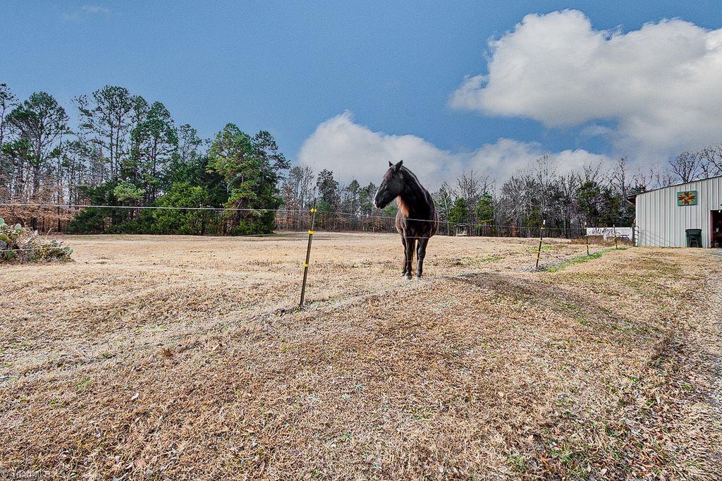 265 Fuller Mill Road North Trinity, NC 27370 - Photo 20 of 45