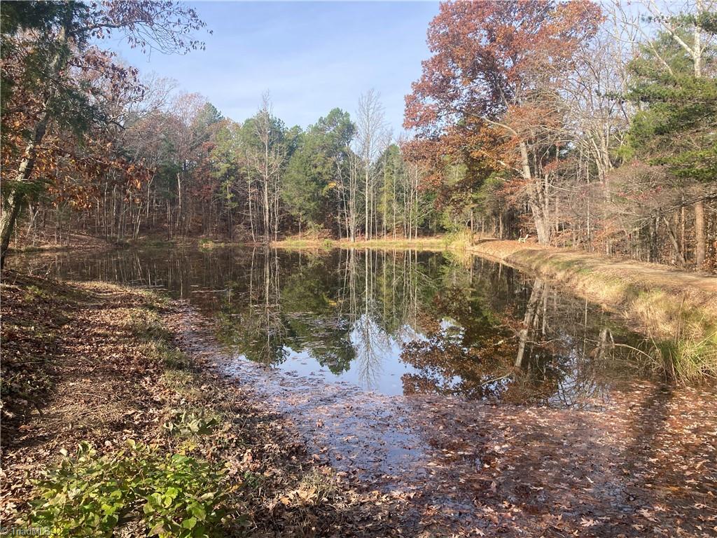 265 Fuller Mill Road North Trinity, NC 27370 - Photo 33 of 45