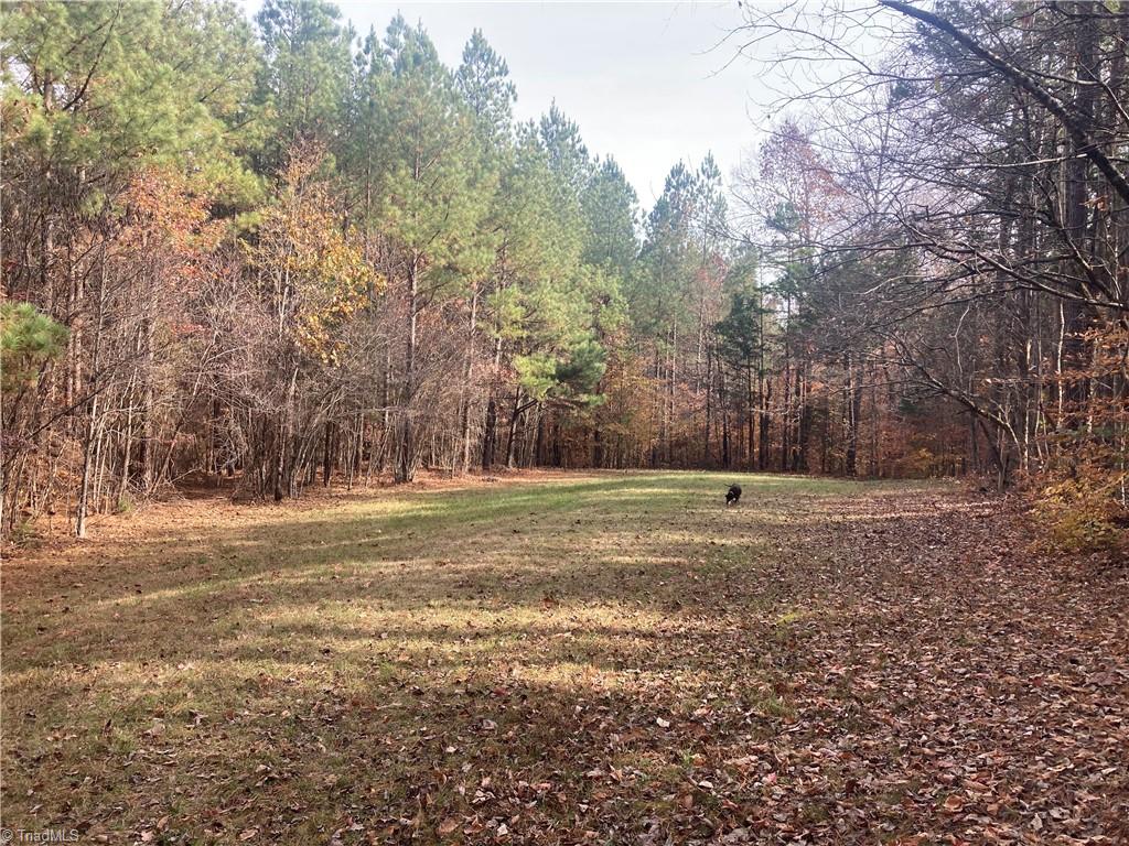 265 Fuller Mill Road North Trinity, NC 27370 - Photo 35 of 45