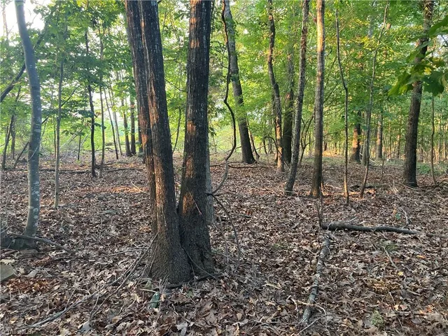 $698,000 | 265 Fuller Mill Road North, Trinity, NC 27370