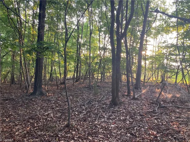 $698,000 | 265 Fuller Mill Road North, Trinity, NC 27370