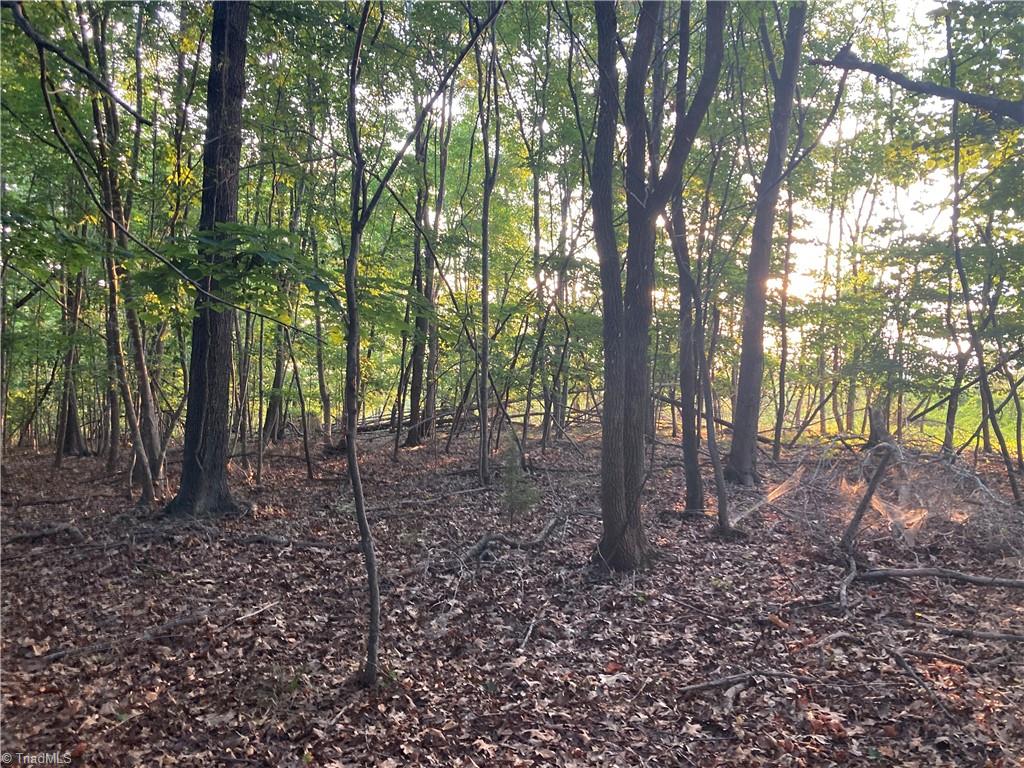 265 Fuller Mill Road North Trinity, NC 27370 - Photo 38 of 45