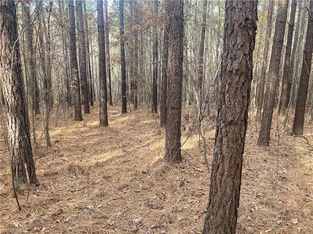 $698,000 | 265 Fuller Mill Road North, Trinity, NC 27370