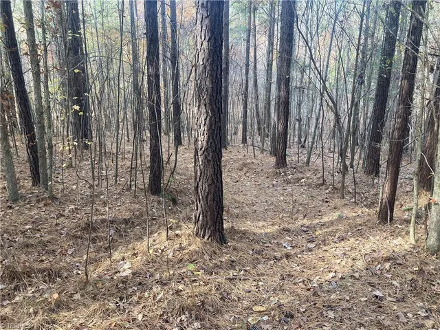 $698,000 | 265 Fuller Mill Road North, Trinity, NC 27370