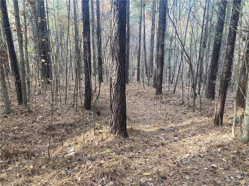 265 Fuller Mill Road North Trinity, NC 27370 - Photo 40 of 45