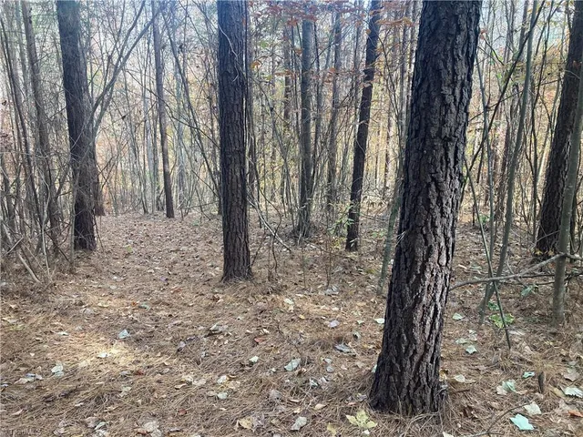 $698,000 | 265 Fuller Mill Road North, Trinity, NC 27370