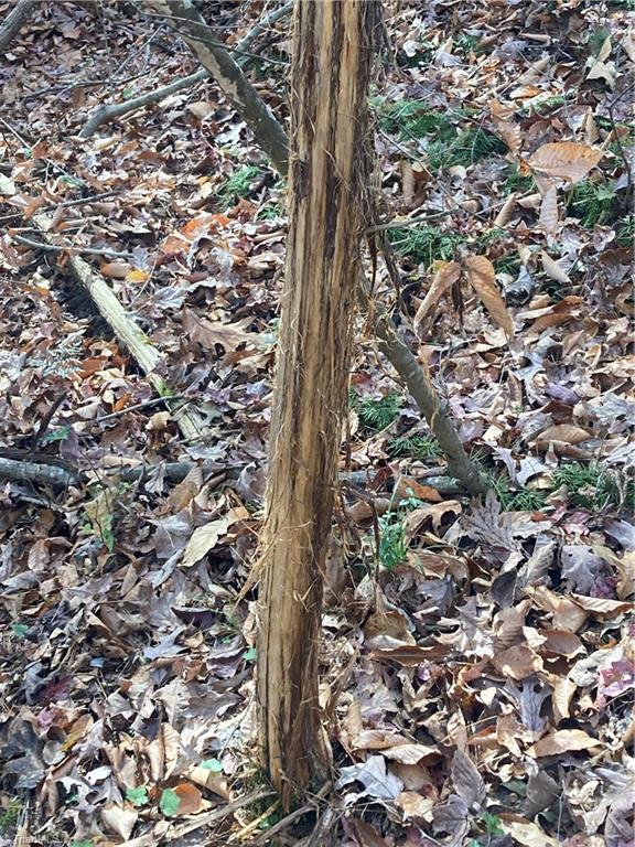 265 Fuller Mill Road North Trinity, NC 27370 - Photo 43 of 45