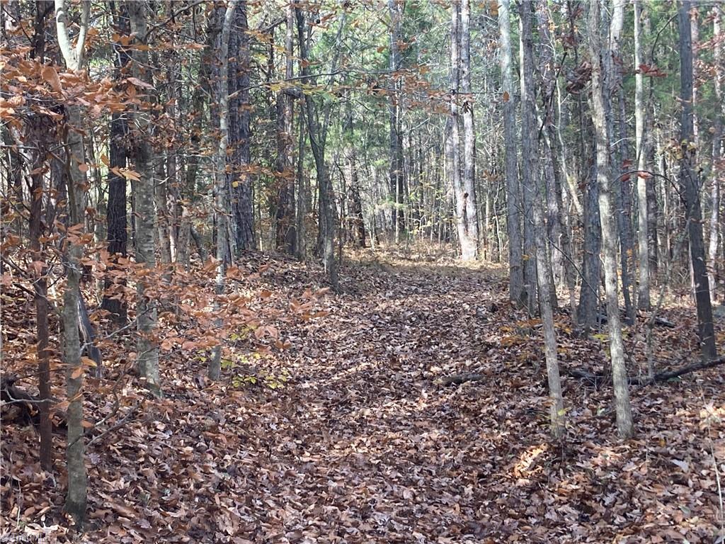 265 Fuller Mill Road North Trinity, NC 27370 - Photo 44 of 45