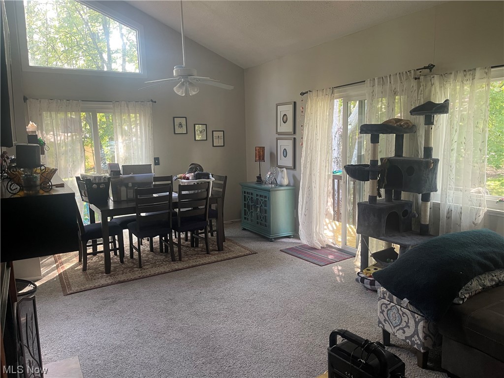 2408 Call Road, Unit 2B Stow, OH 44224 - Photo 22 of 32 Carpeted dining area featuring vaulted ceiling, a high ceiling, and ceiling fan