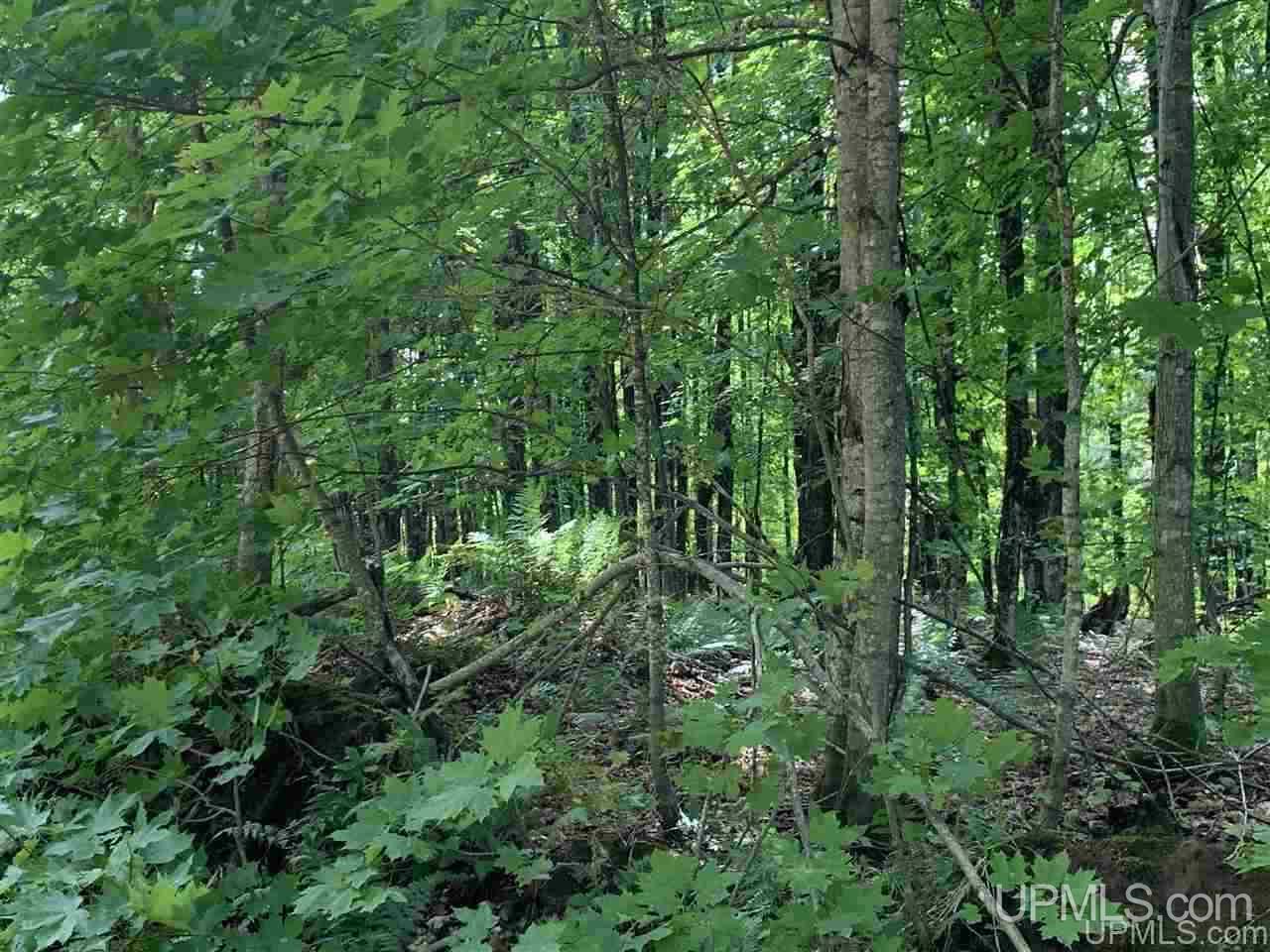 88-89 Blue Road Pelkie, MI 49958 - Photo 1 of 15