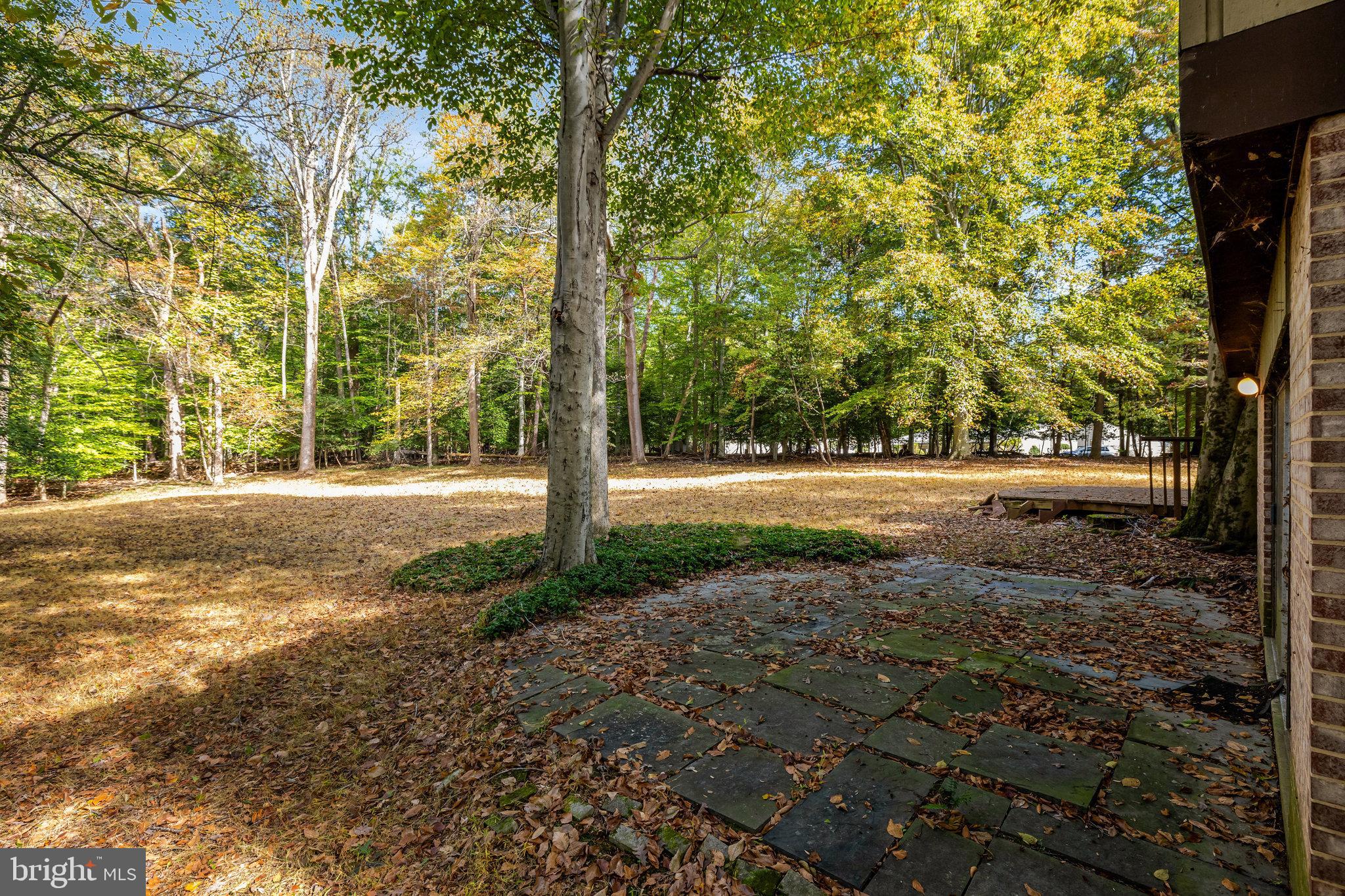 9506 Watts Road Great Falls, VA 22066 - Photo 52 of 55 Private Lot