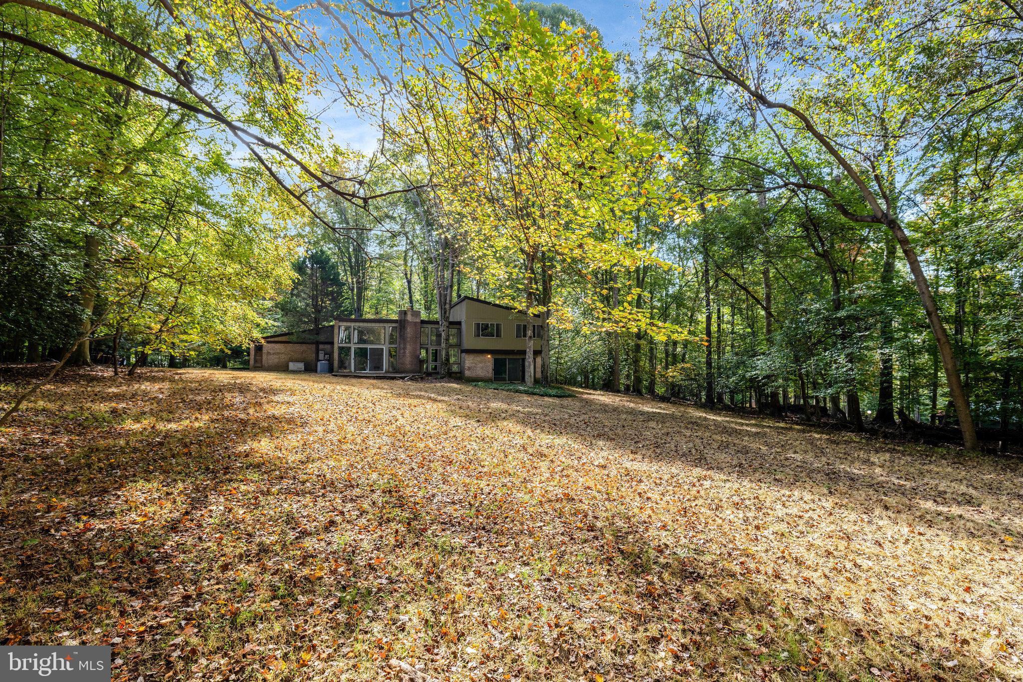 9506 Watts Road Great Falls, VA 22066 - Photo 54 of 55 Back Yard