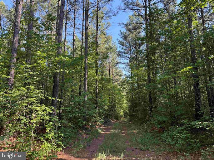 Brandy Creek Road Emporia, VA 23847 - Photo 2 of 15